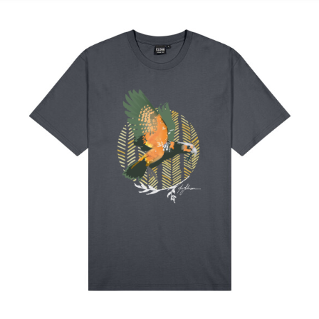 Kaka Men's T-Shirt - New Zealand Bird Art