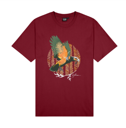 Kaka Men's T-Shirt - New Zealand Bird Art