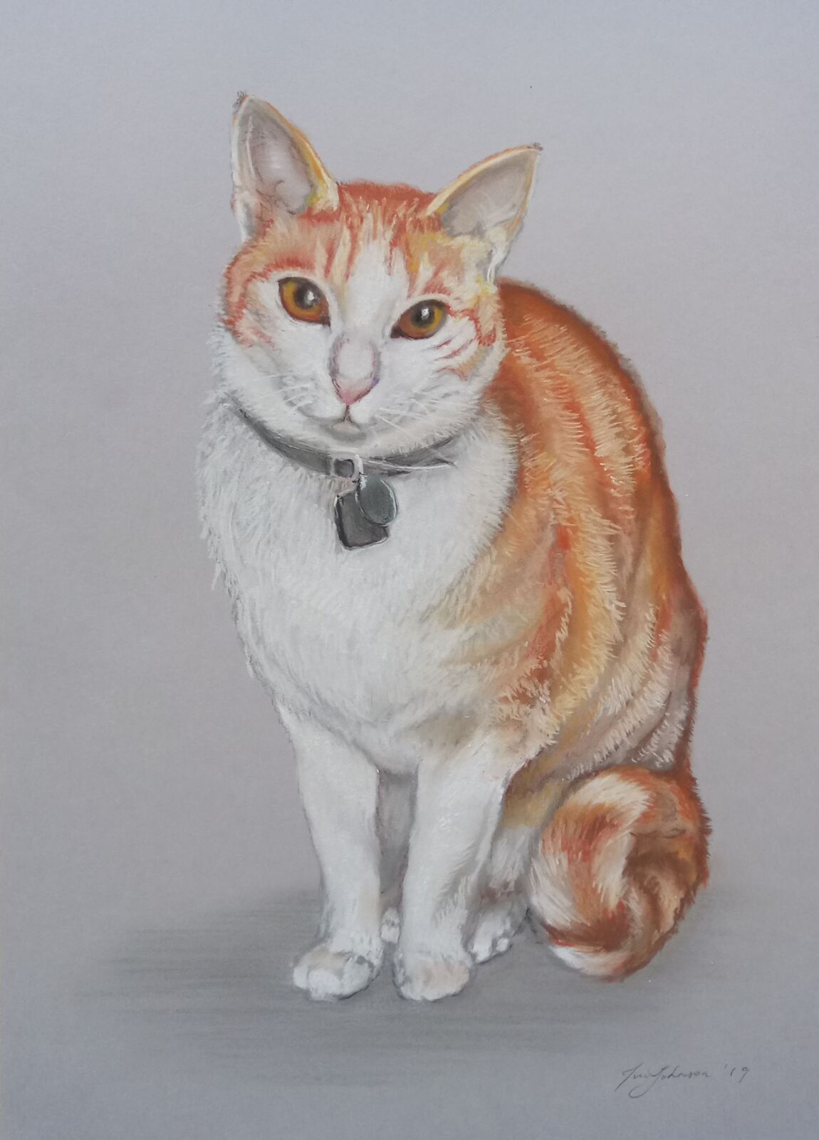 custom pet portrait nz